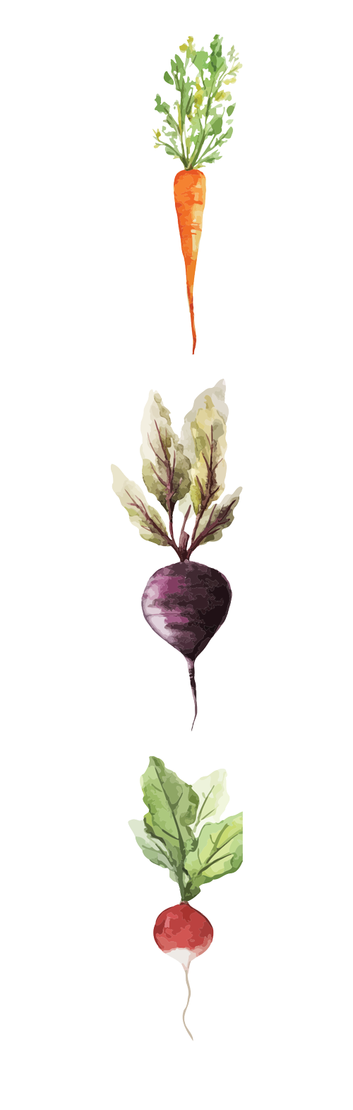 chef-pieter-veggies-vertical